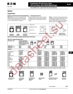 E22NS42 datasheet  